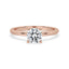 Round Diamond Hidden Halo Engagement Ring