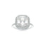 2.03 CT Asscher Cut Moissanite Halo Engagement Ring
