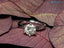 1 Ct (6.5mm) Solitaire Certified Natural Diamond Engagement ring - DisneyValley