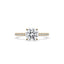 Round Cut Engagement Ring In Pave Setting