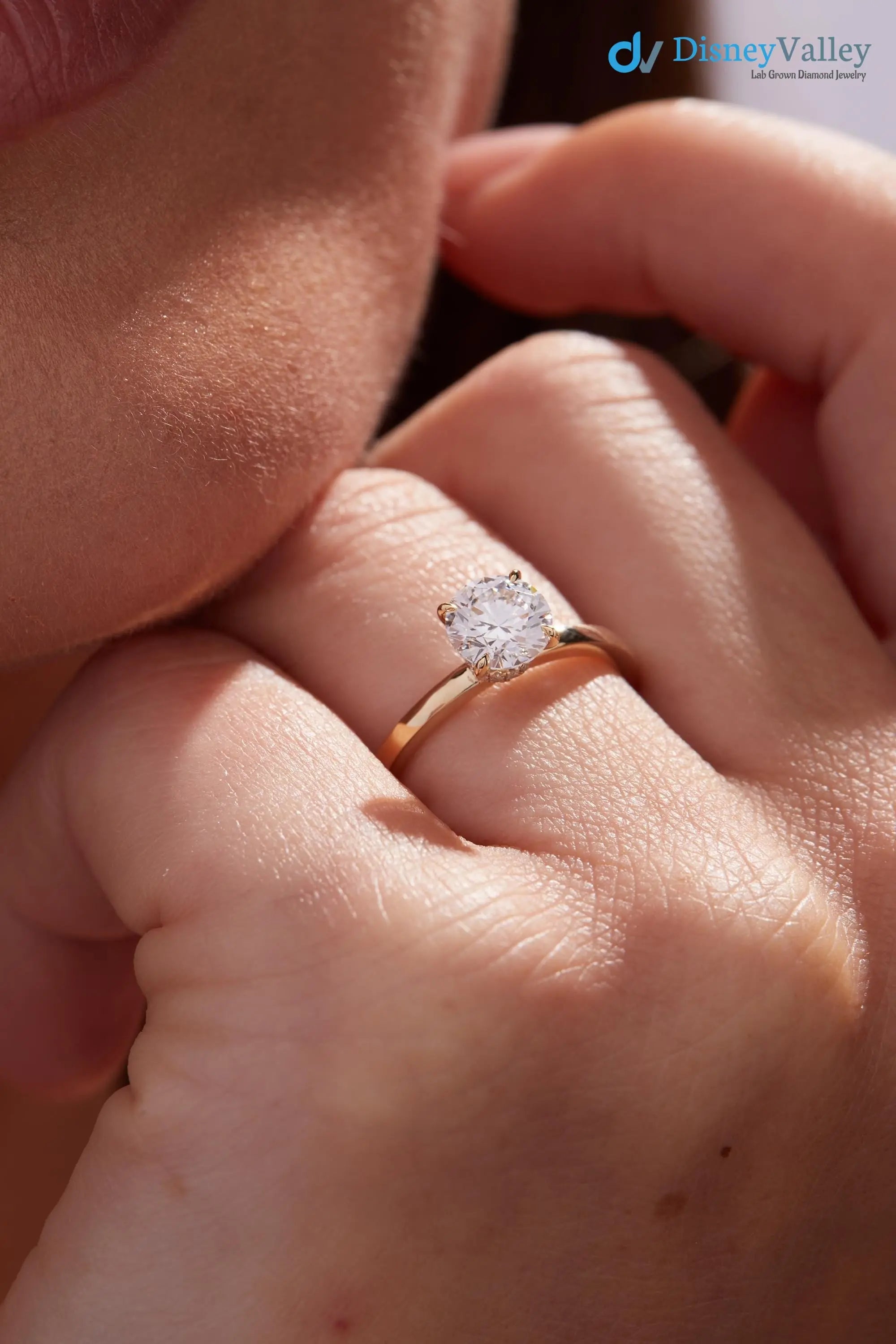 1.00 Carat Round Cut Lab-Grown Diamond Engagement Ring with Hidden Halo - DisneyValley
