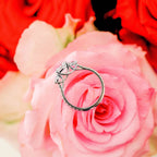 2.0 CT Round Moissanite Three Stone Setting Engagement Ring