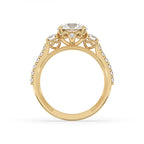 Three Stone Engagement Ring In Pave Setting