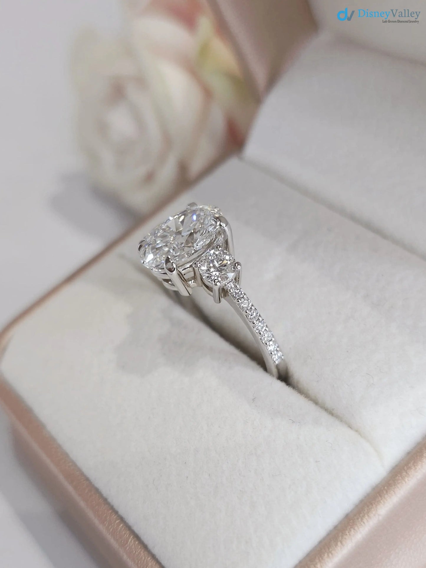 3.20 CTW Oval 3 Stone IGI Certified pave band engagement ring - DisneyValley