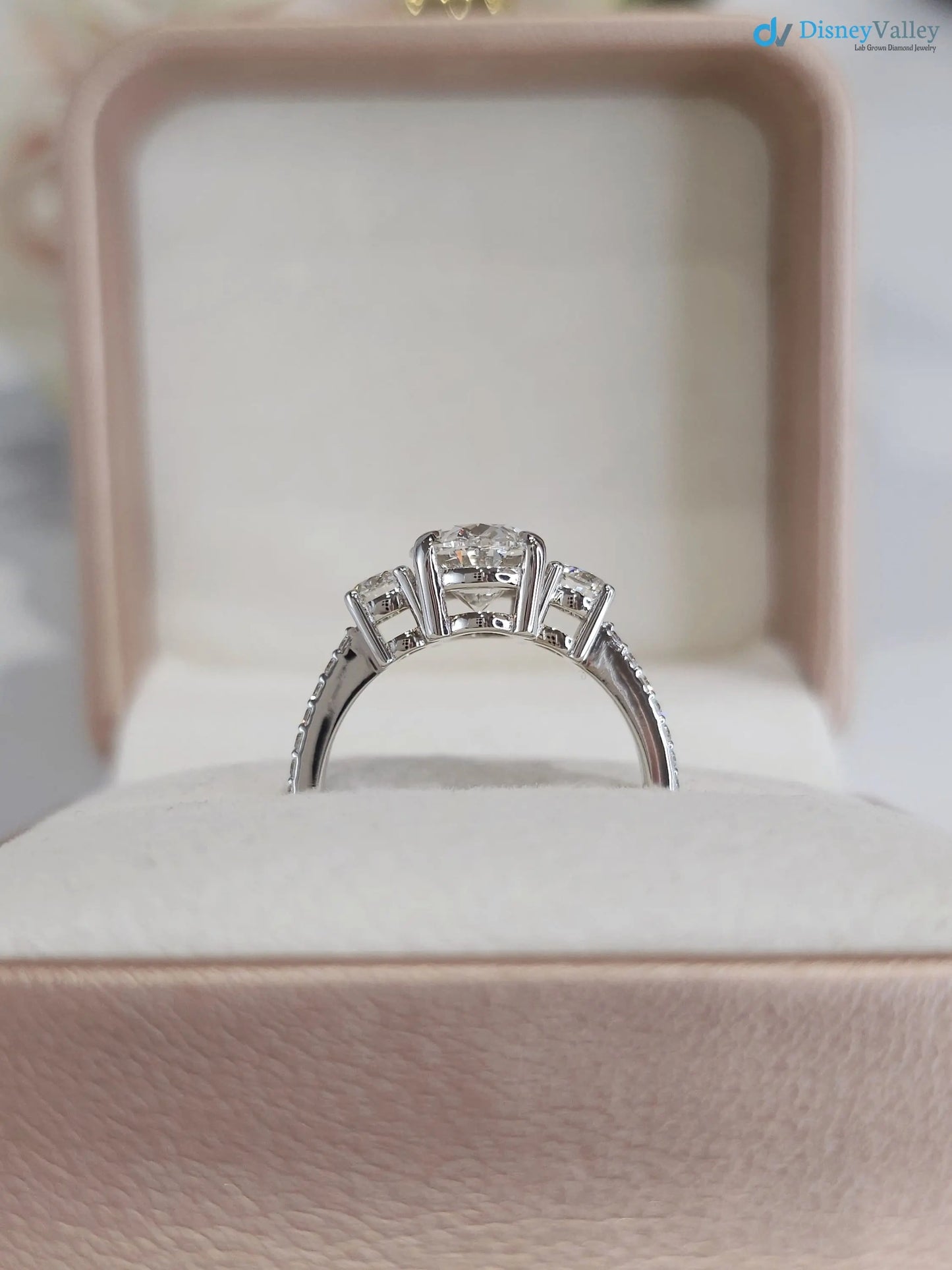 3.20 CTW Oval 3 Stone IGI Certified pave band engagement ring - DisneyValley
