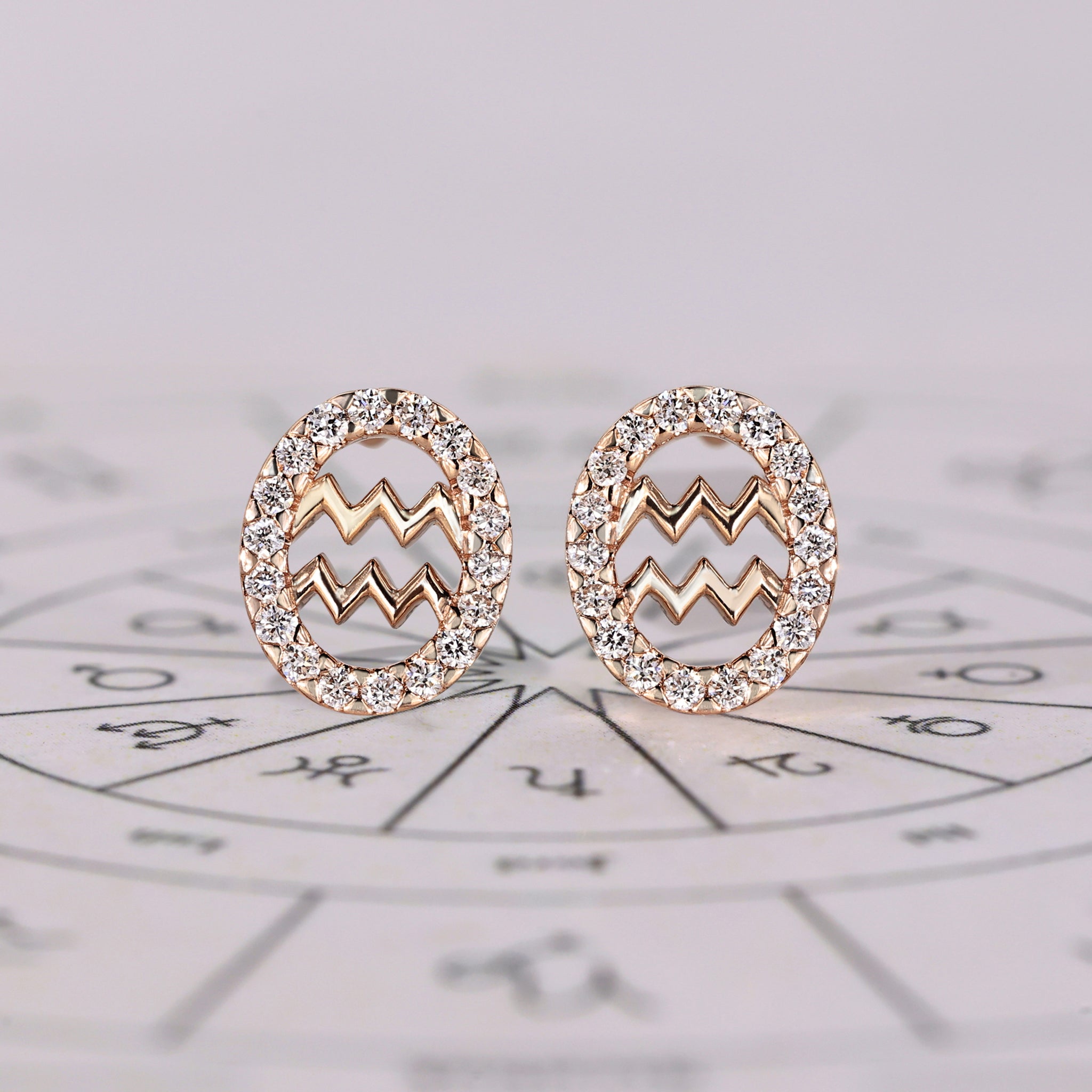 Aquarius Earrings in Stud Halo Style Image principale du produit