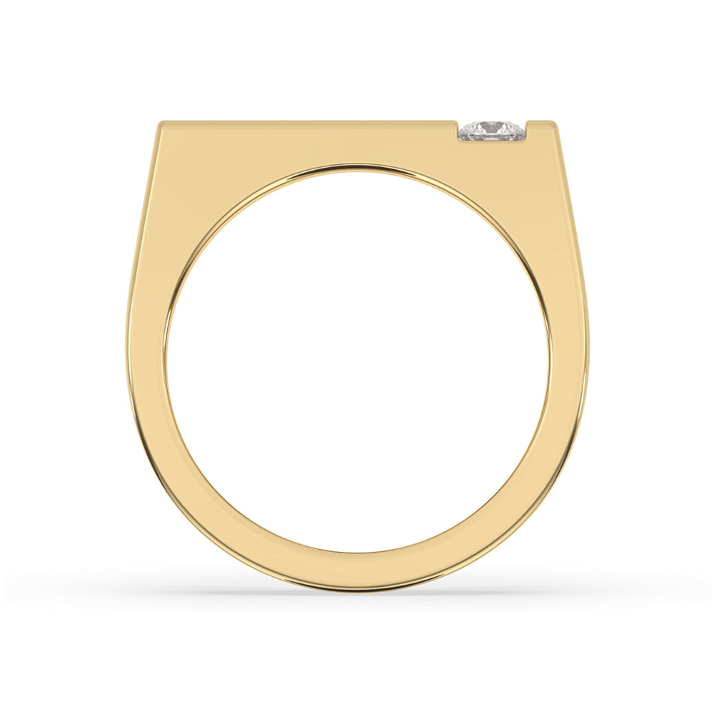 Yellow Gold Mens Wedding Band - 2 Stone