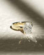 2.0-3.0 CT Cushion Cut Lab Grown Diamond Split Shank Engagement Ring