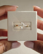 1.37-3.37 CT Oval Cut Lab Grown Diamond Dainty Pave & Hidden Halo Engagement Ring
