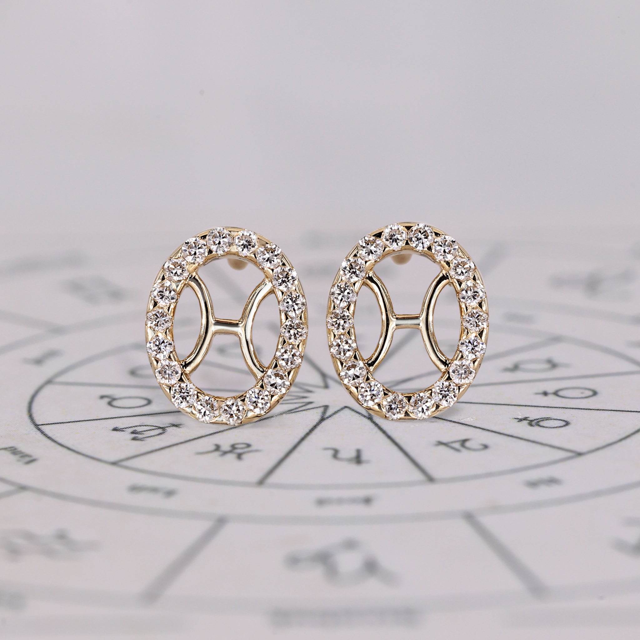 Pisces Earrings in Stud Halo Design Image principale du produit