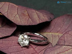 1 Ct (6.5mm) Solitaire Certified Natural Diamond Engagement ring - DisneyValley 