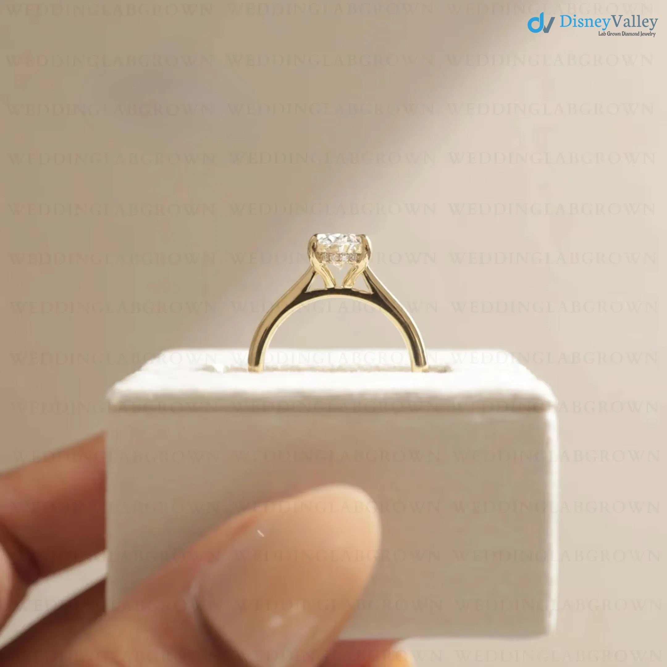 2 Ct Oval Diamond Hidden Halo Solitaire Engagement Ring - DisneyValley 