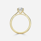 1.70 CT Round Moissanite Hidden Halo Engagement Ring