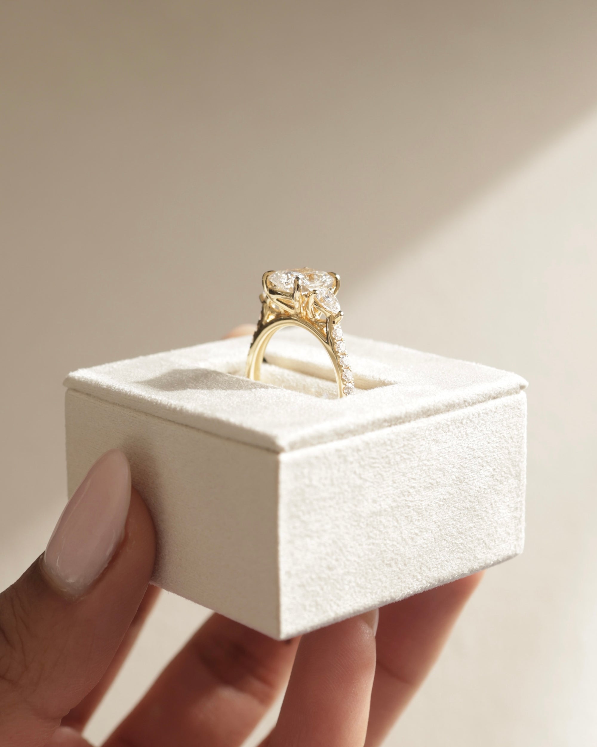 2.02-4.02 CT Elongated Cushion Cut Lab Grown Diamond Three Stone & Pave Engagement Ring