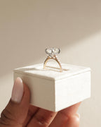 2.0-5.0 CT Elongated Cushion Cut Lab Grown Diamond  Hidden Halo & Pave Engagement Ring
