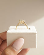 2.01-4.01 CT Round Cut Lab Grown Diamond Pave Setting Engagement Ring