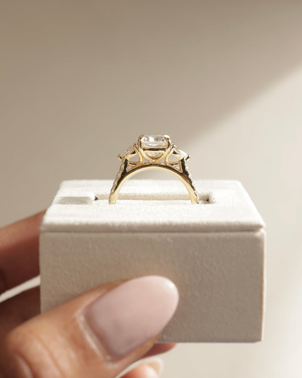 2.02-4.02 CT Elongated Cushion Cut Lab Grown Diamond Three Stone & Pave Engagement Ring
