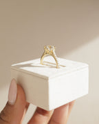 2.01-4.01 CT Round Cut Lab Grown Diamond Pave Setting Engagement Ring