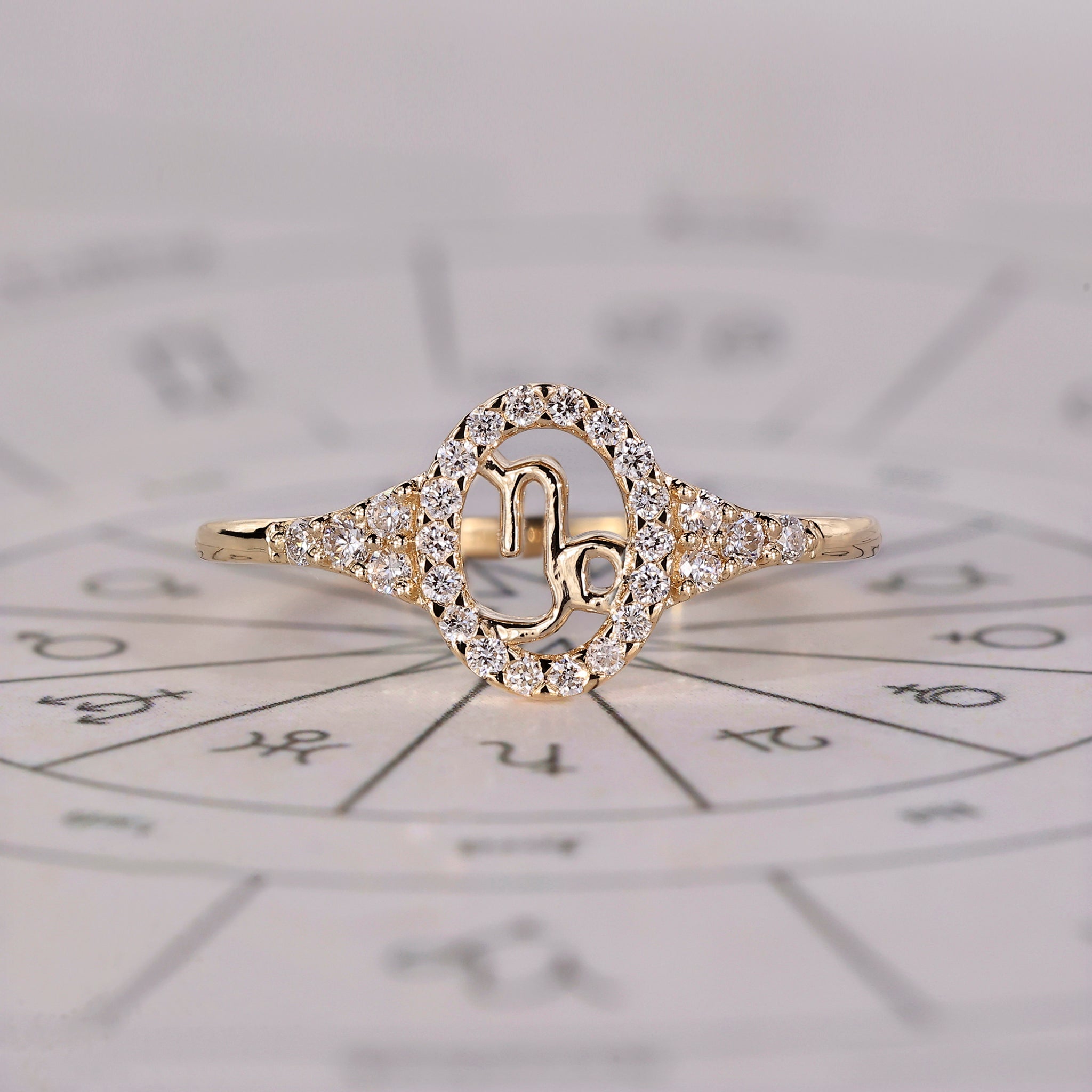 Capricorn Ring With Halo Design Image secondaire du produit