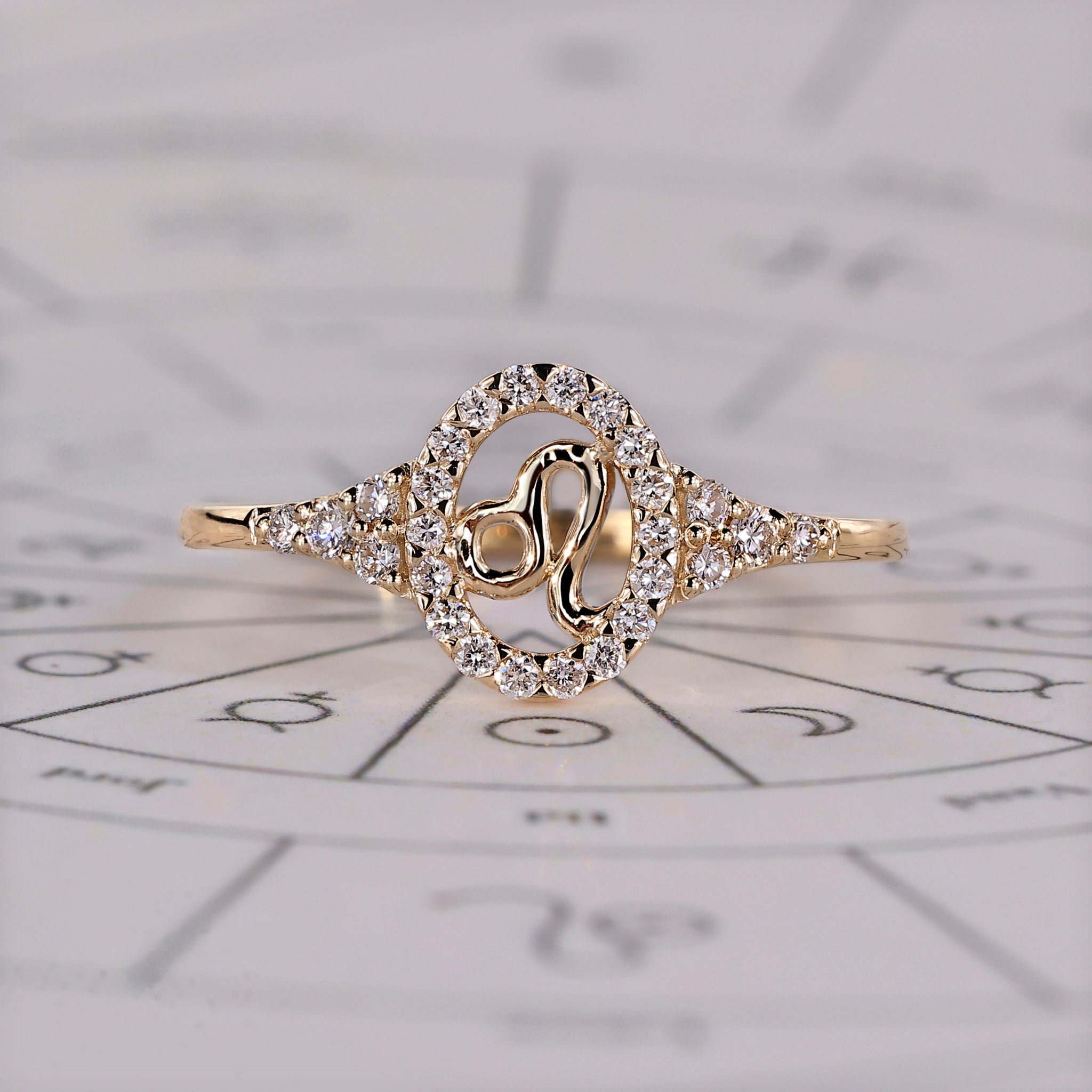 Leo Ring With Round Cut Side Stone Image secondaire du produit