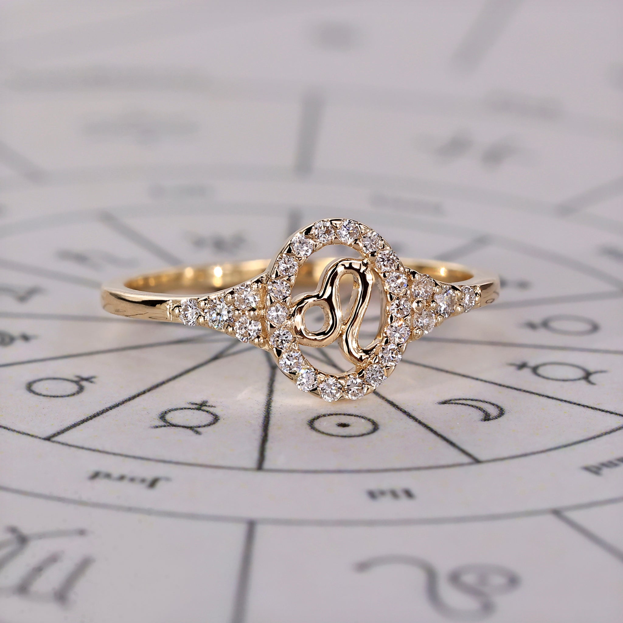 Leo Ring With Round Cut Side Stone