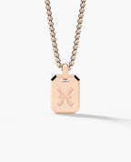 PISCES MINI ZODIAC Dog Tag Gold Pendant