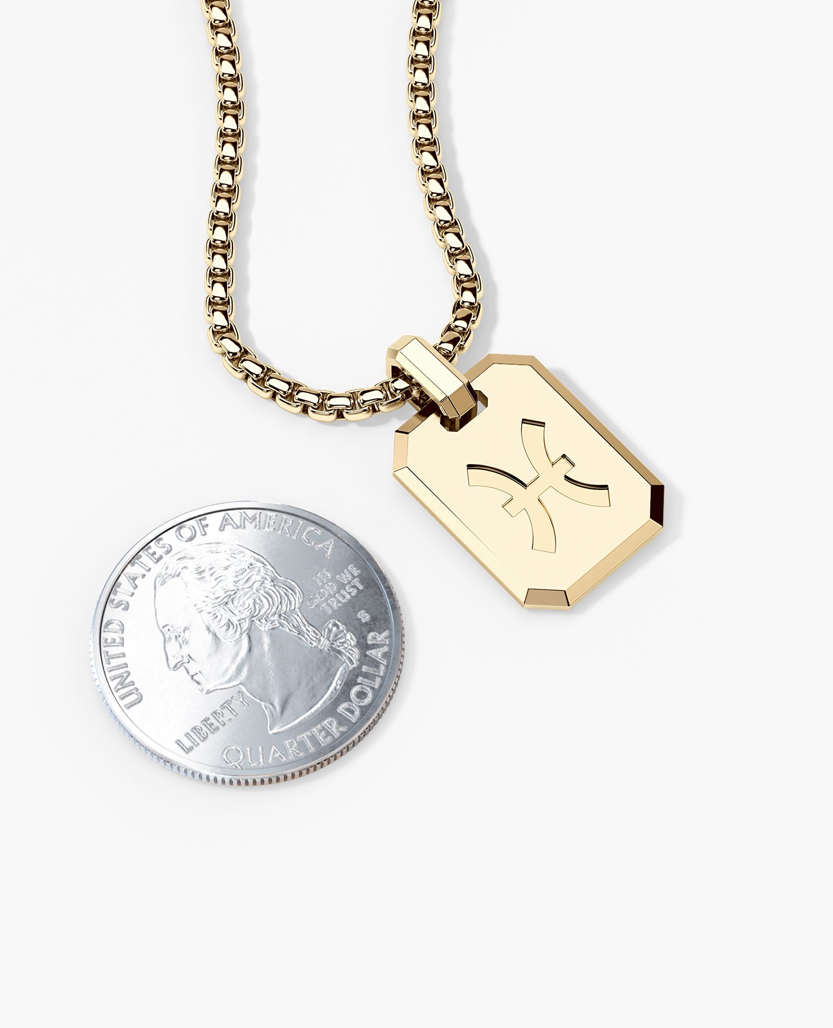 PISCES MINI ZODIAC Dog Tag Gold Pendant