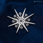 Queen Elizabeth’s Jardine Star Brooch diamond star brooch pin DisneyValley