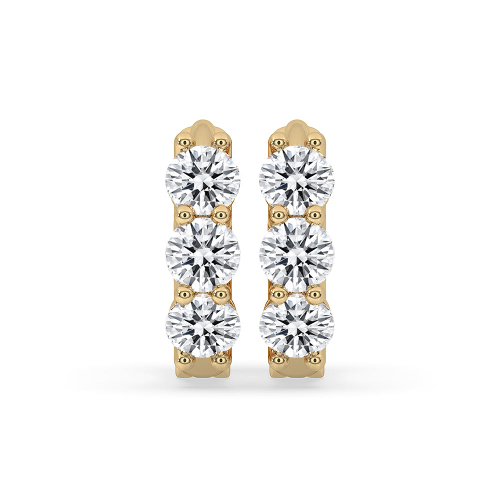 Round Diamond Gold Hoop Earrings For Women Immagine principale del prodotto