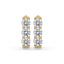 Round Diamond Gold Hoop Earrings For Women