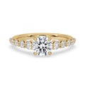 Round Brilliant Cut Diamond Ring with Side Stone