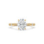 Oval Diamond Engagement Ring in Distance Pave Style