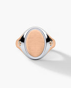 LODESTAR Two-Tone Gold Signet Ring
