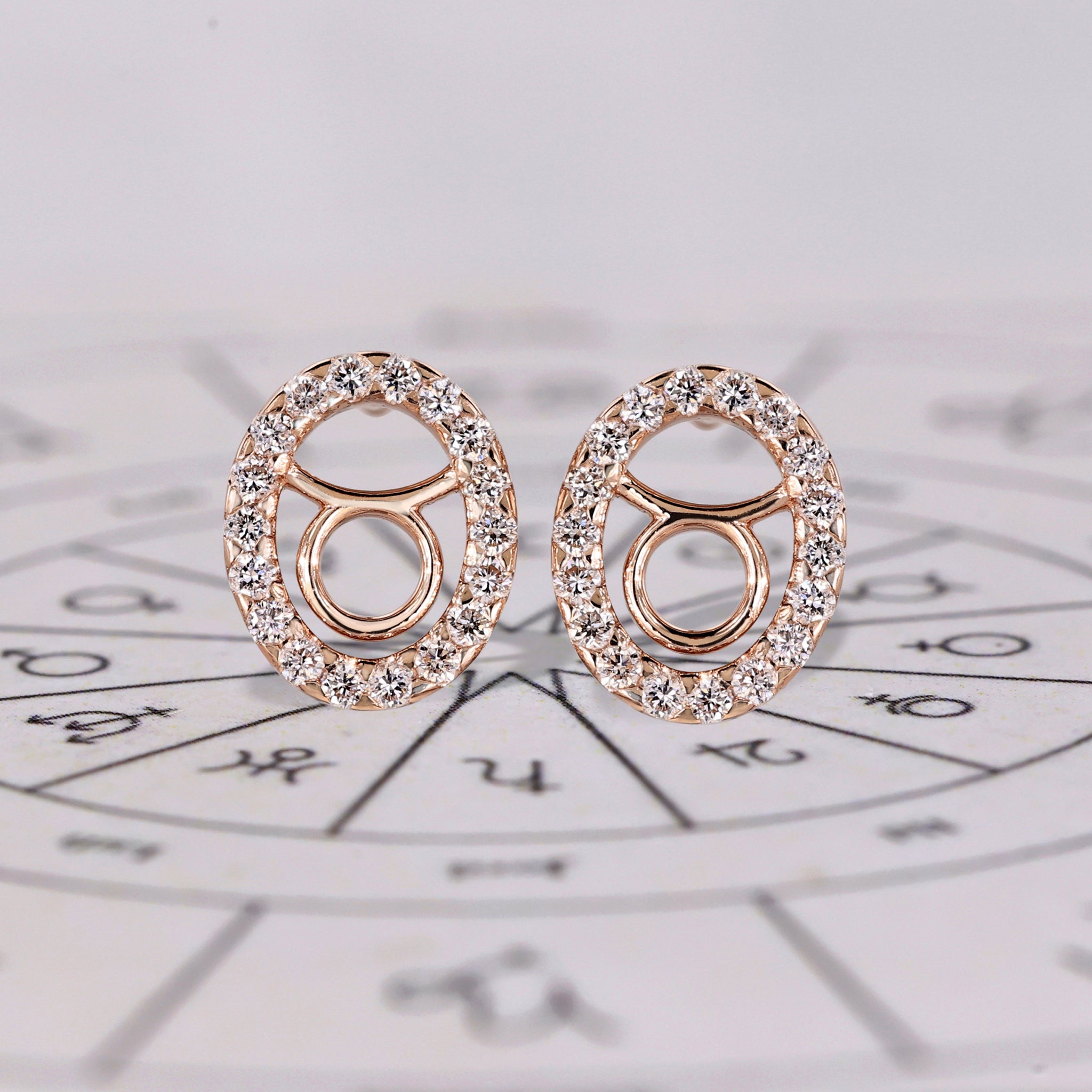 Taurus Earrings Stud In Halo Style Image principale du produit