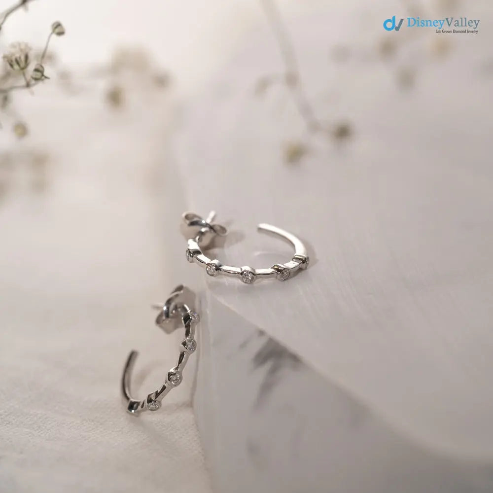 distinguished pair of white gold with round diamond earrings - DisneyValley