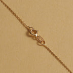 1.0 TCW Customized Nameplate Moissanite Diamond Necklace for Women