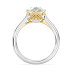 Enchanted Star Diamond With Gold, Disney’s Ariel Bezel Engagement Ring