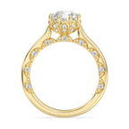 Enchanted Star Diamond With Gold, Disney’s Cinderella Solitaire Engagement Ring