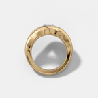Iris Engagement Ring With a Round Cut Diamond