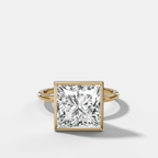 Penumbra Bezel Hidden Halo Engagement Ring with Princess Cut