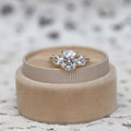 2.0 CT Round Moissanite Three Stone Setting Engagement Ring
