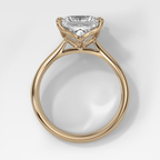 Tulip Basket Cathedral Engagement Ring with Princess Cut Diamond